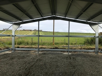 WhatsApp-Image-2025-01-24-at-10.37.31_080348eb