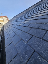 WhatsApp-Image-2026-01-23-at-16.38.21